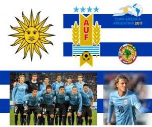 пазл Выбор Уругвай, группа C, Аргентина 2011